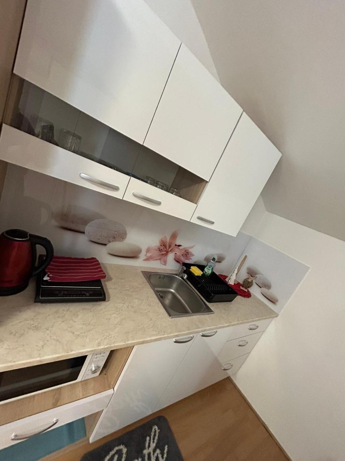 Apartments And Wellness Scavnicar Ljutomer Luaran gambar